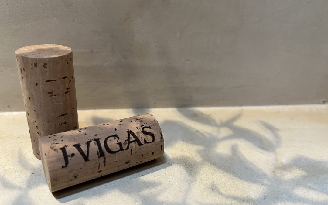 Nuevo año, nueva mirada