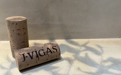 Nuevo año, nueva mirada